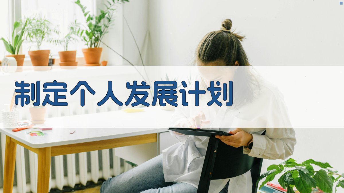 制定个人发展计划 图2