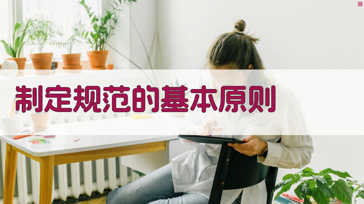 制定规范的基本原则 图2