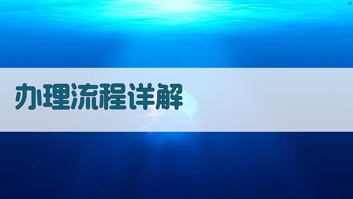 办理流程详解 图3