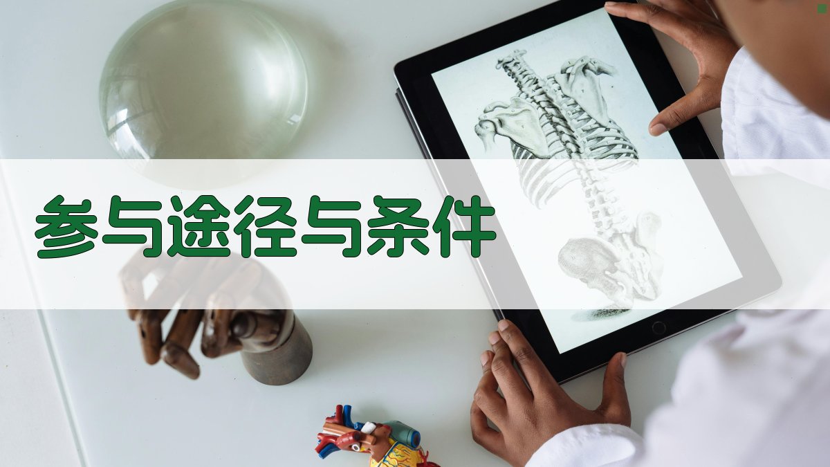 参与途径与条件 图5