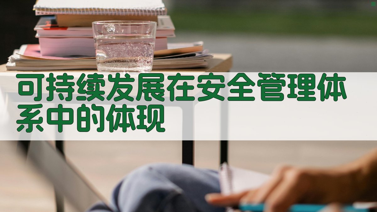 可持续发展在安全管理体系中的体现 图4