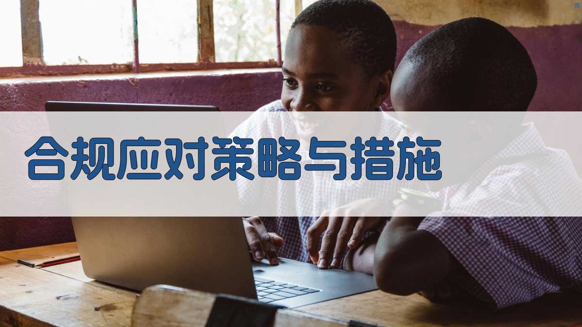 合规应对策略与措施 图3