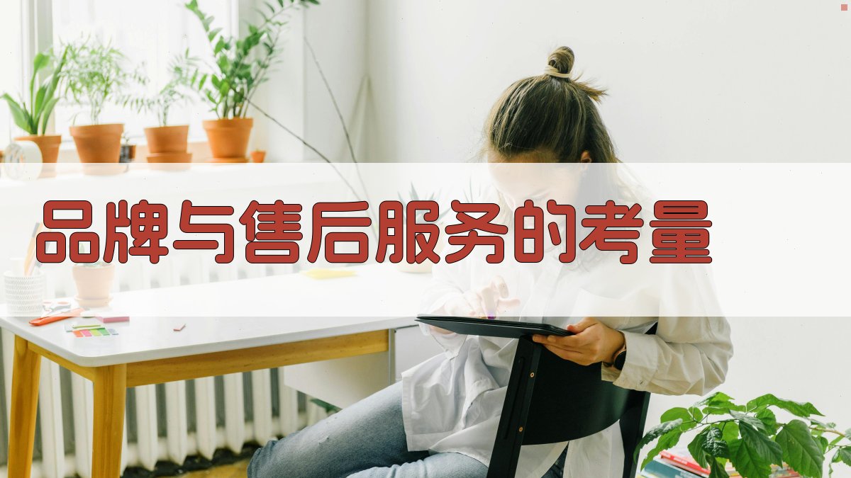 品牌与售后服务的考量 图2