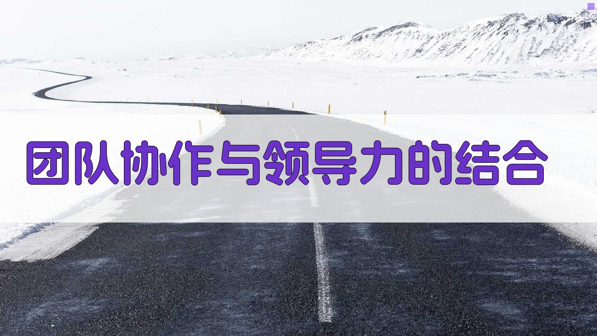 团队协作与领导力的结合 图2