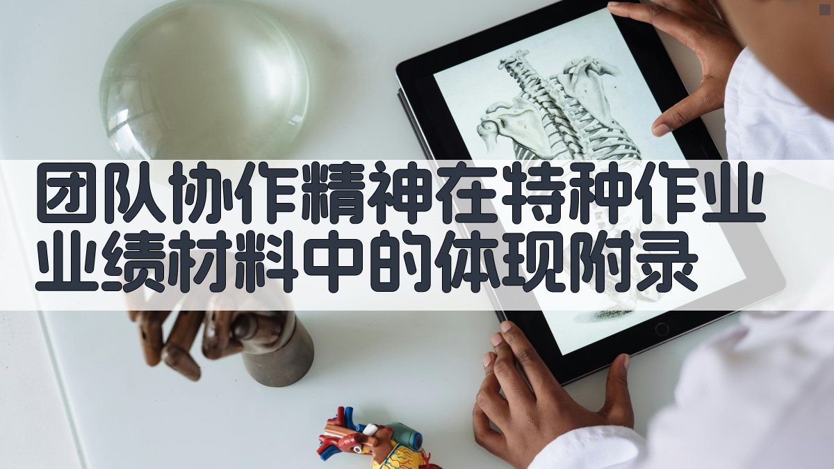 团队协作精神在特种作业业绩材料中的体现 · 附录 图5