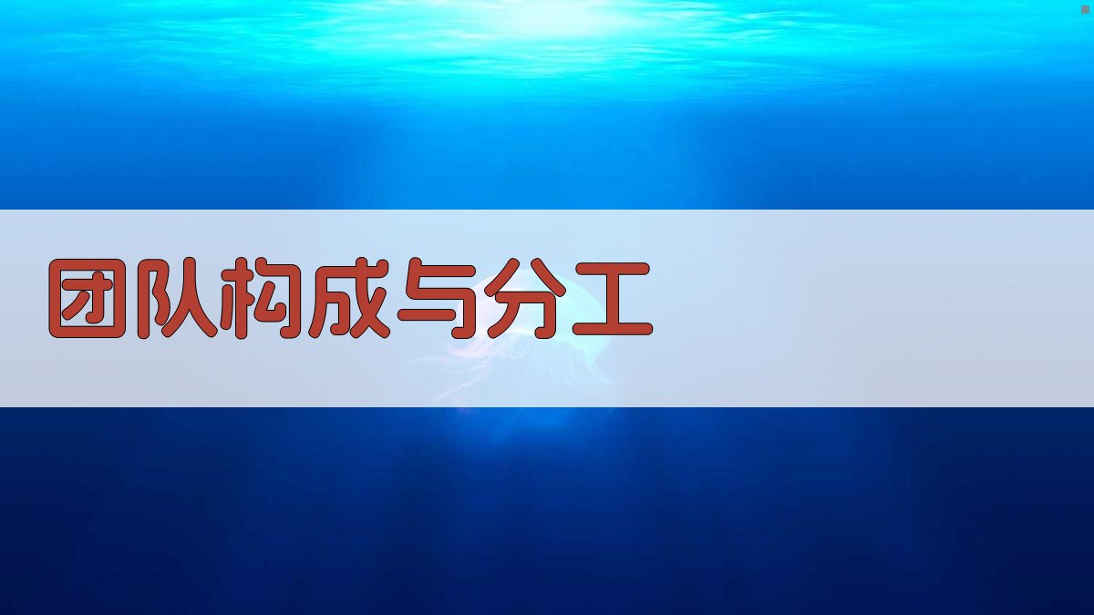 团队构成与分工 图1