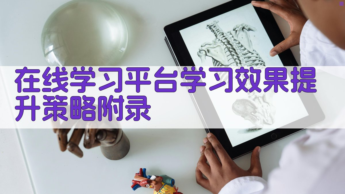 在线学习平台学习效果提升策略 · 附录 图5