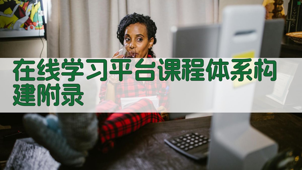 在线学习平台课程体系构建 · 附录 图4