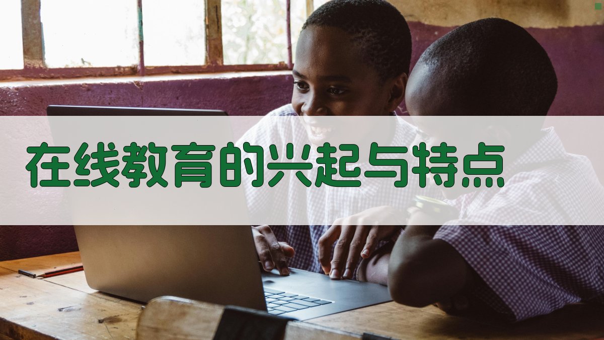在线教育的兴起与特点 图1