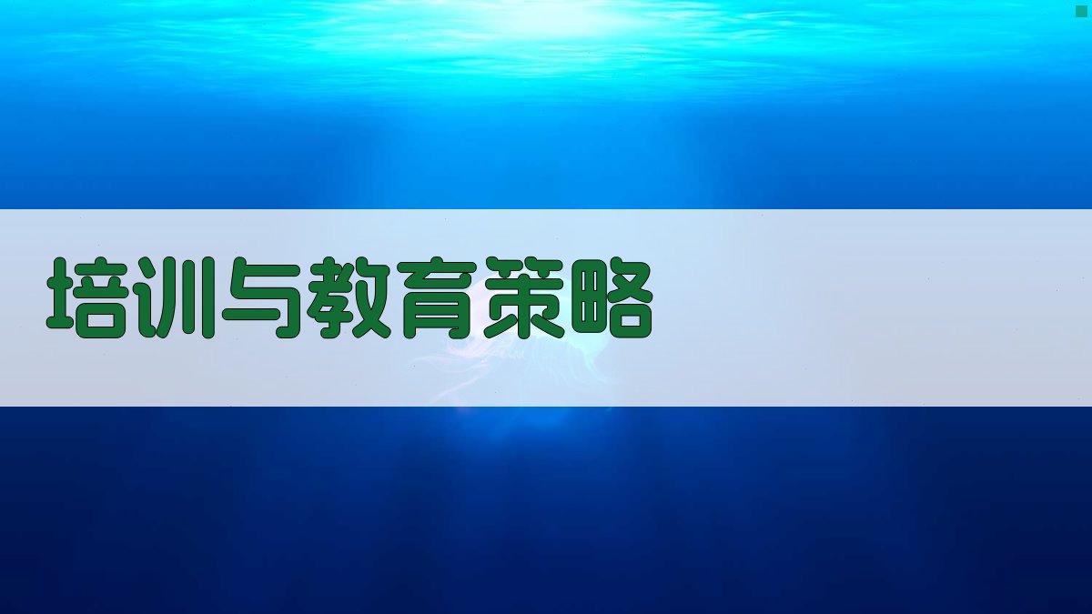 培训与教育策略 图2