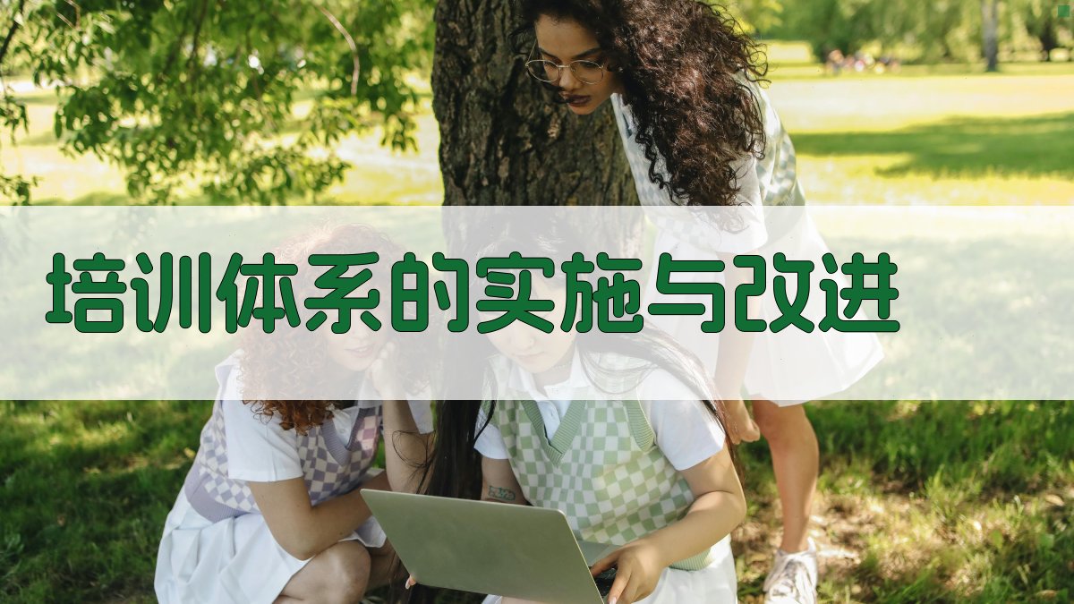 培训体系的实施与改进 图3