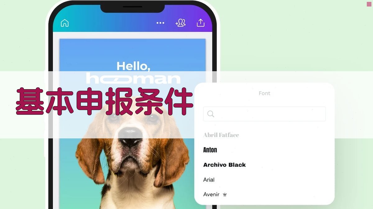 基本申报条件 图2