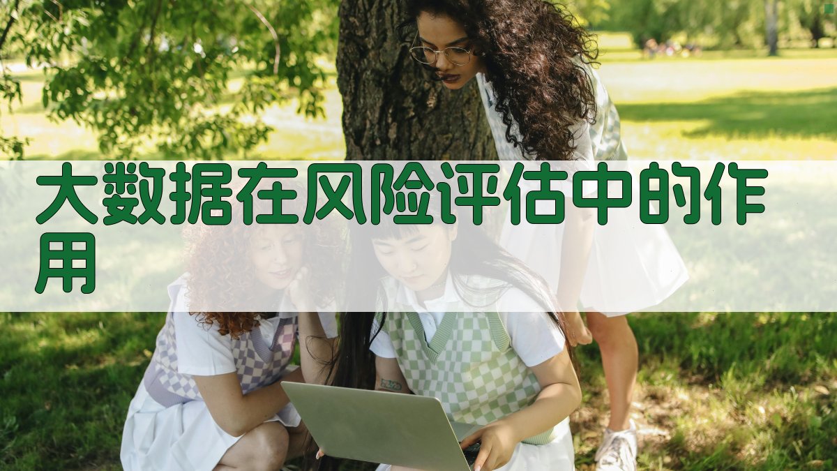 大数据在风险评估中的作用 图2