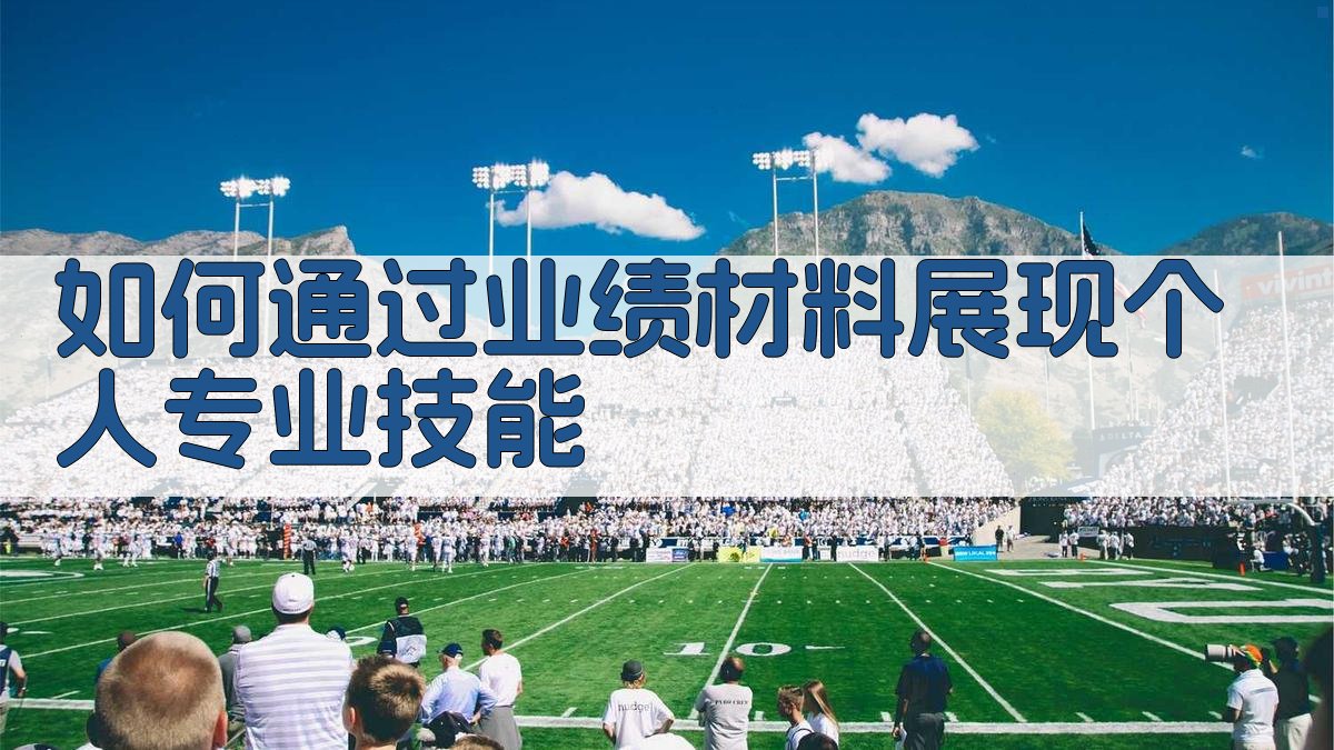 如何通过业绩材料展现个人专业技能 图1