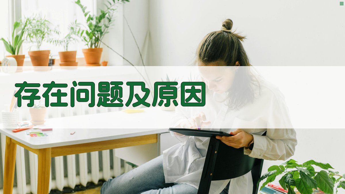 存在问题及原因 图3