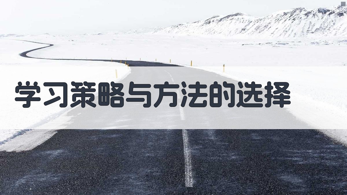 学习策略与方法的选择 图2