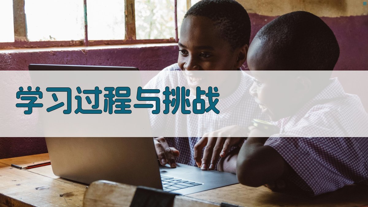 学习过程与挑战 图2