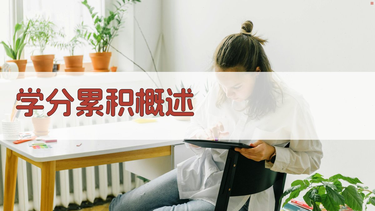 学分累积概述 图1