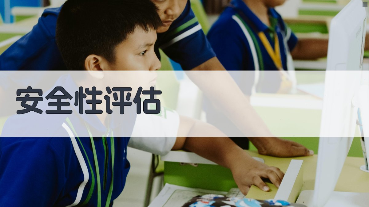 安全性评估 图2