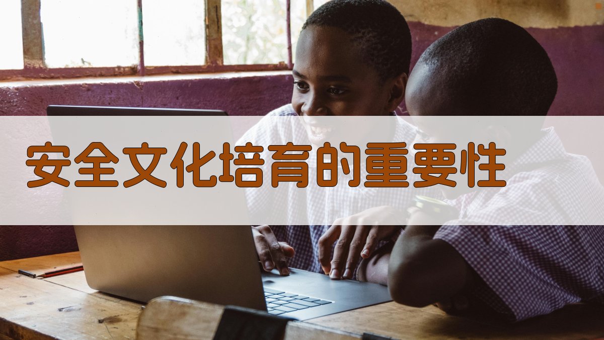 安全文化培育的重要性 图1