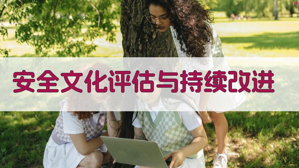 安全文化评估与持续改进 图5