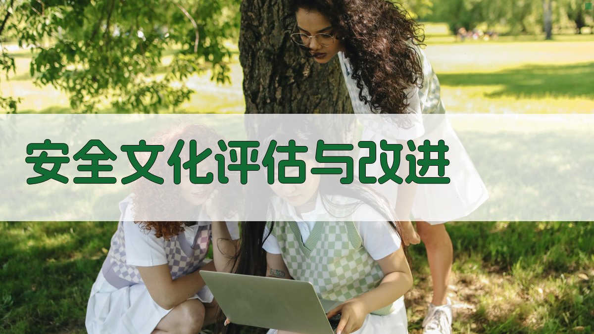 安全文化评估与改进 图4