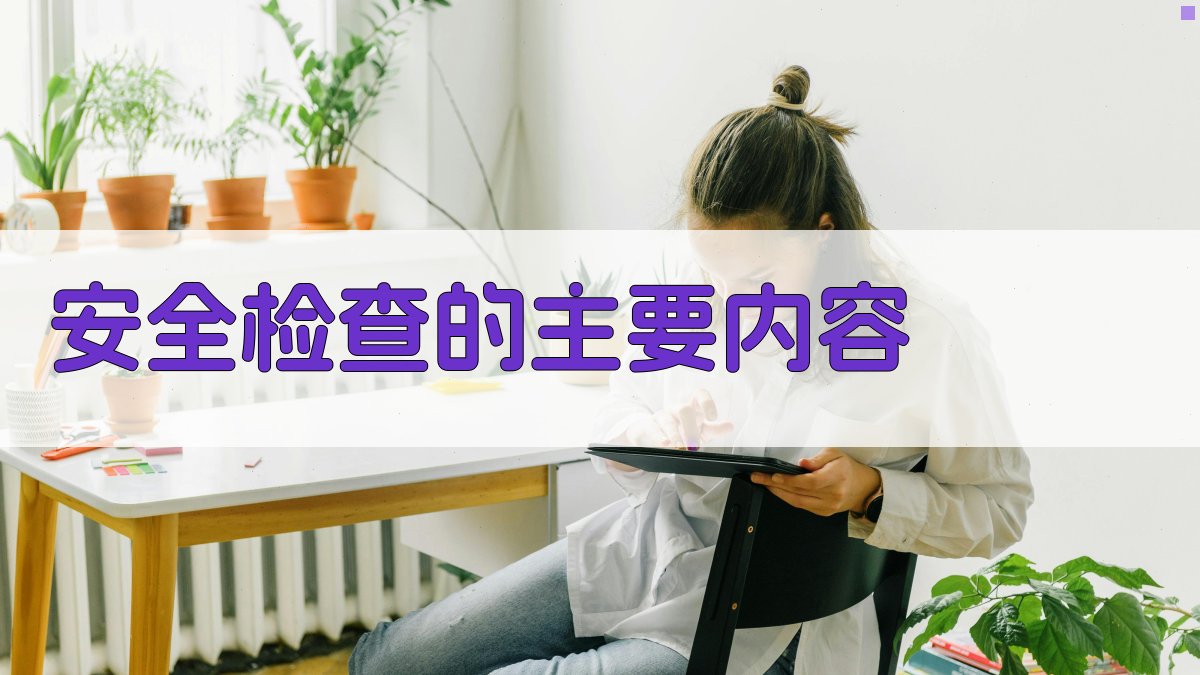 安全检查的主要内容 图2