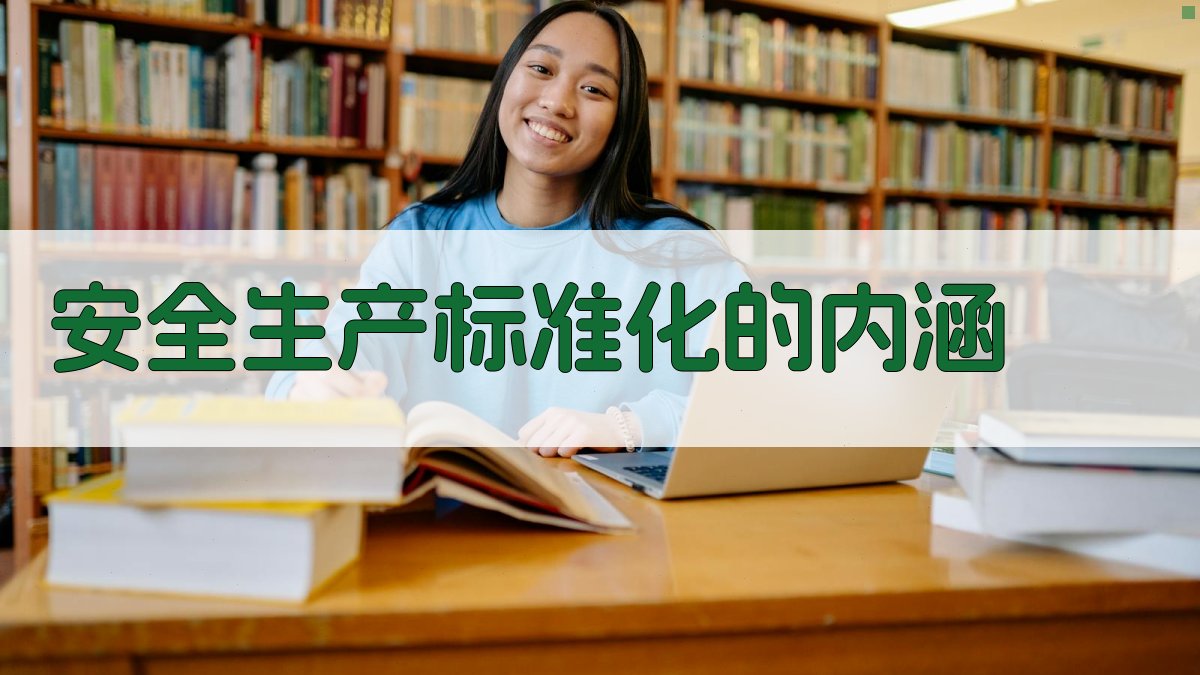 安全生产标准化的内涵 图1
