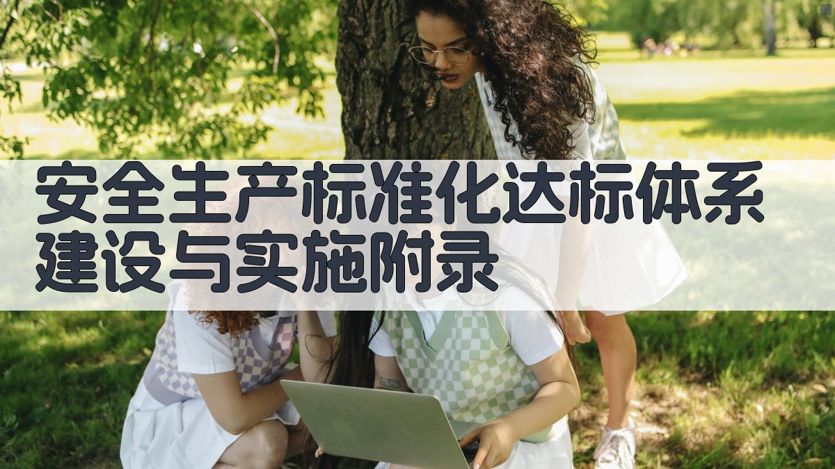 安全生产标准化达标体系建设与实施 · 附录 图3