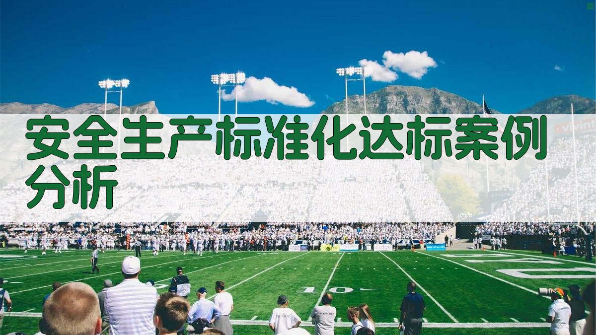 安全生产标准化达标案例分析 图3