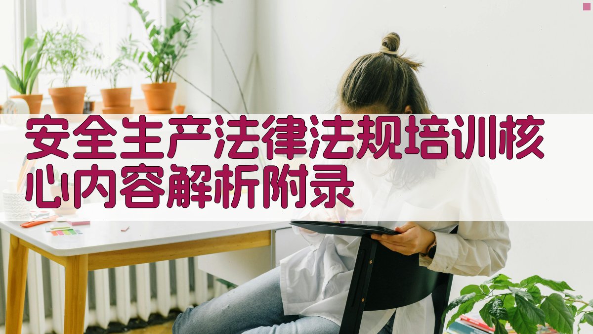 安全生产法律法规培训核心内容解析 · 附录 图4