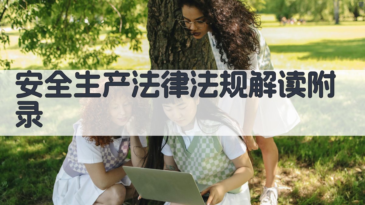 安全生产法律法规解读 · 附录 图2