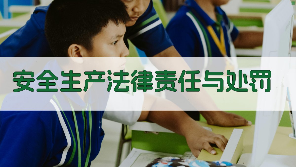 安全生产法律责任与处罚 图4