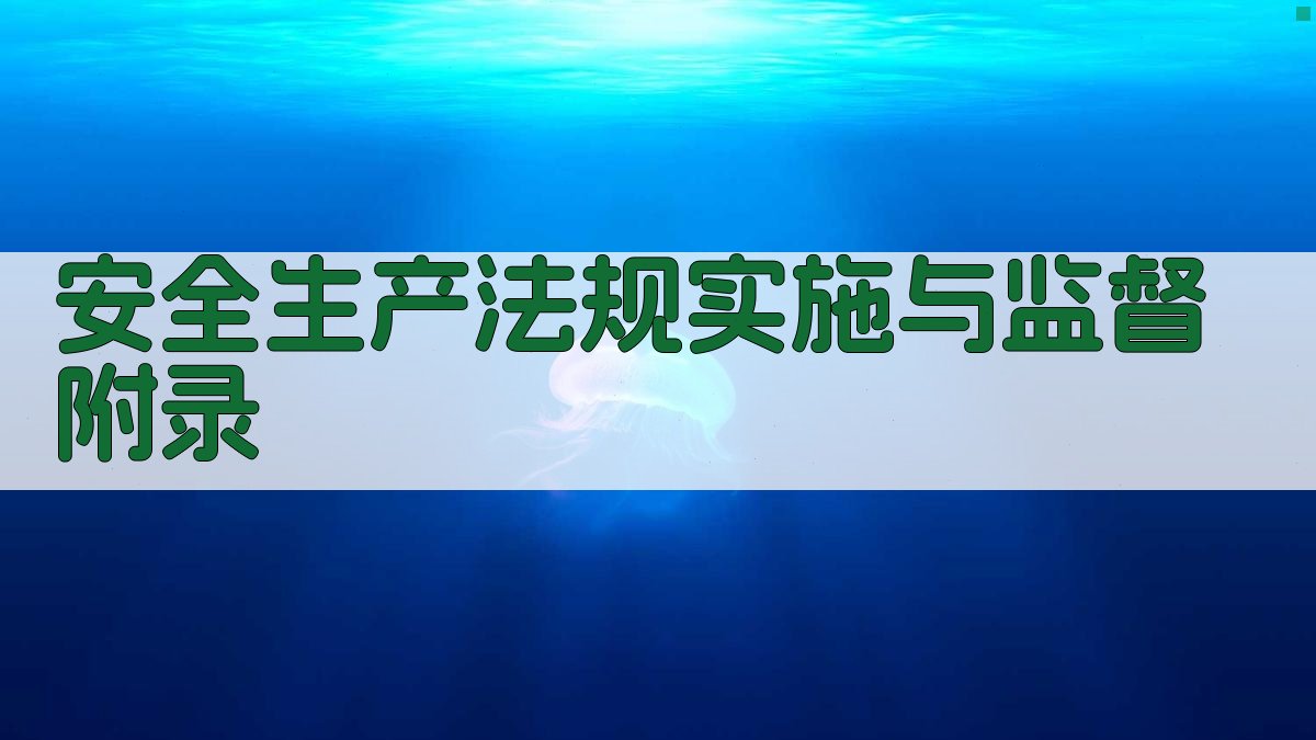 安全生产法规实施与监督 · 附录 图4