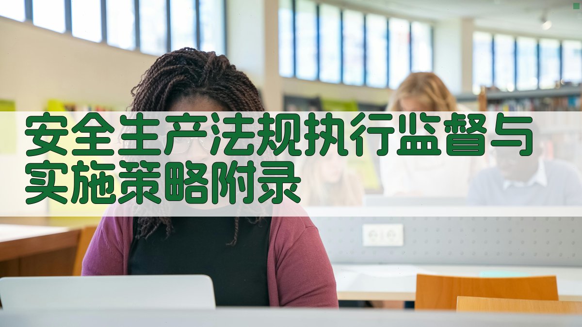 安全生产法规执行监督与实施策略 · 附录 图3