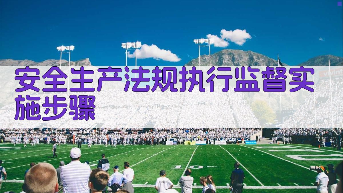 安全生产法规执行监督实施步骤 图3