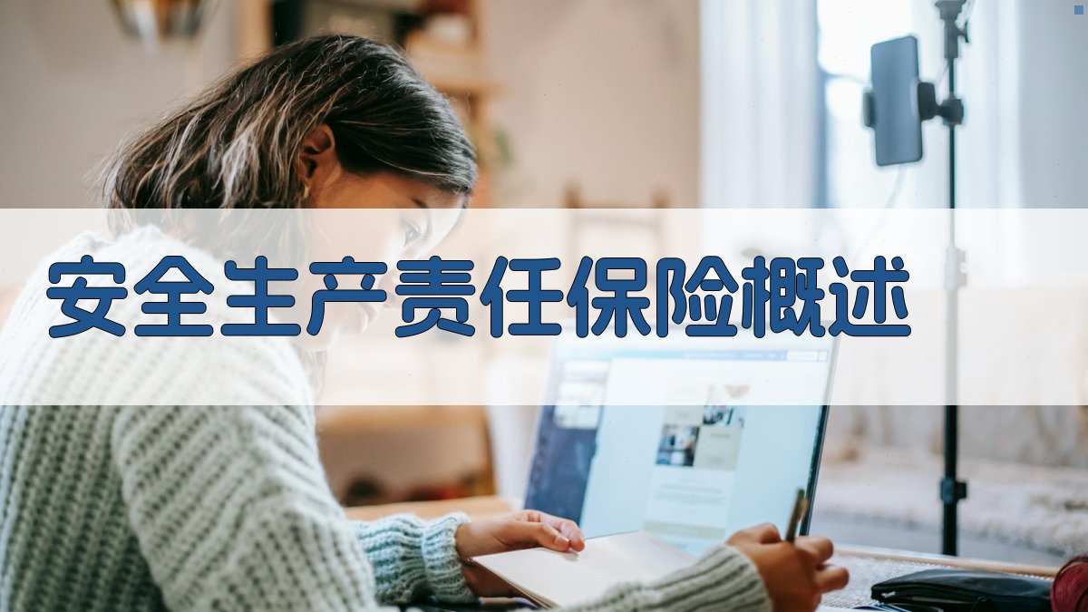 安全生产责任保险概述 图1