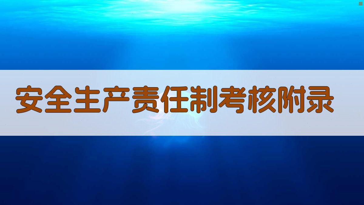 安全生产责任制考核 · 附录 图3