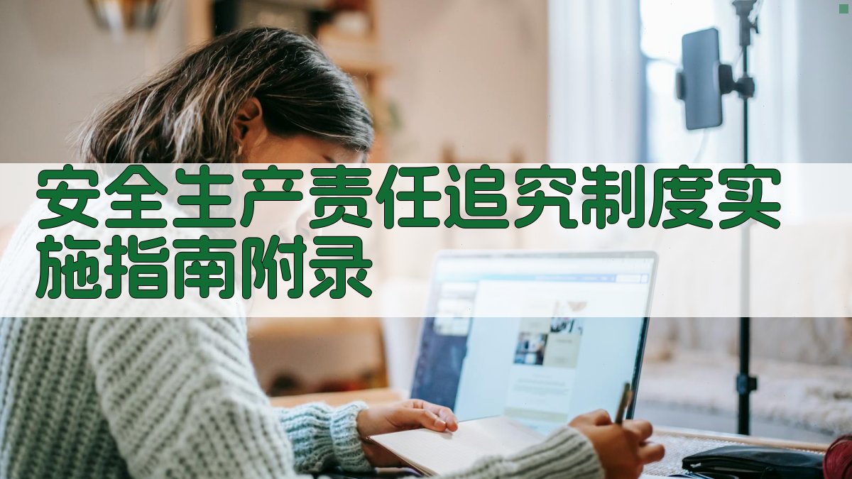 安全生产责任追究制度实施指南 · 附录 图4