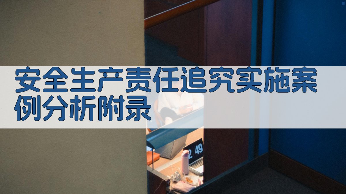 安全生产责任追究实施案例分析 · 附录 图2