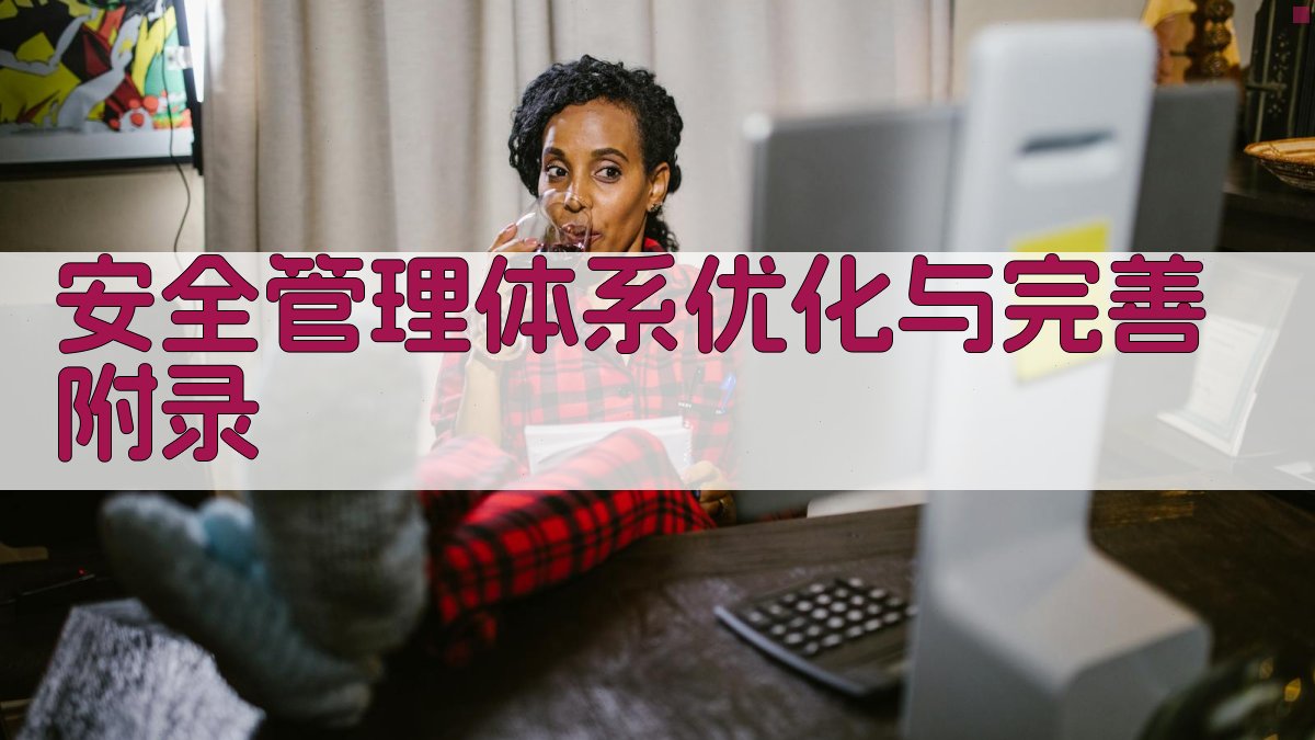 安全管理体系优化与完善 · 附录 图2