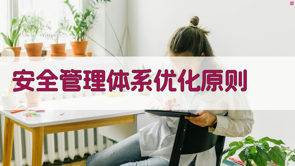 安全管理体系优化原则 图2