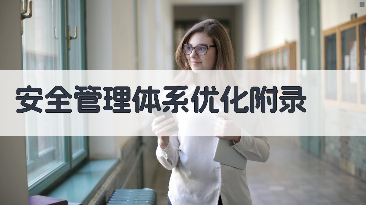 安全管理体系优化 · 附录 图5