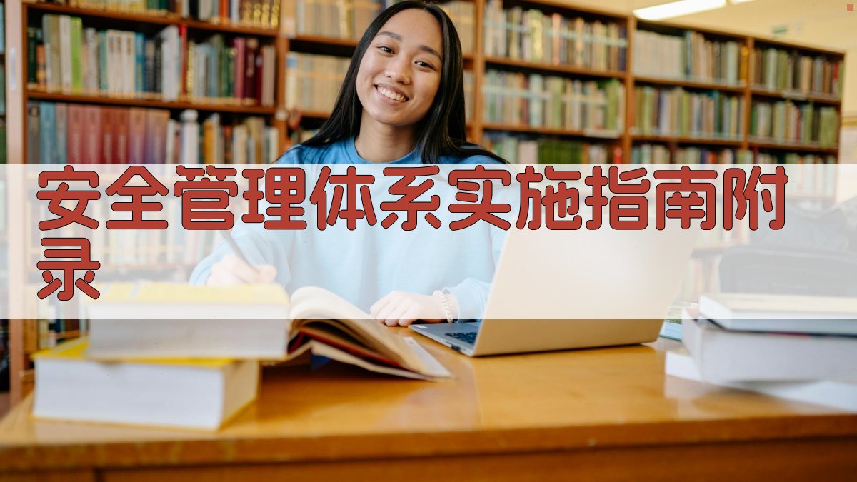 安全管理体系实施指南 · 附录 图4