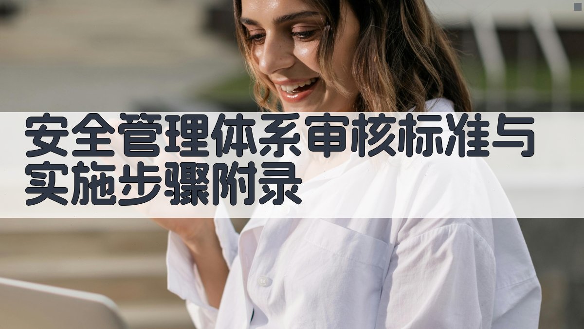 安全管理体系审核标准与实施步骤 · 附录 图4