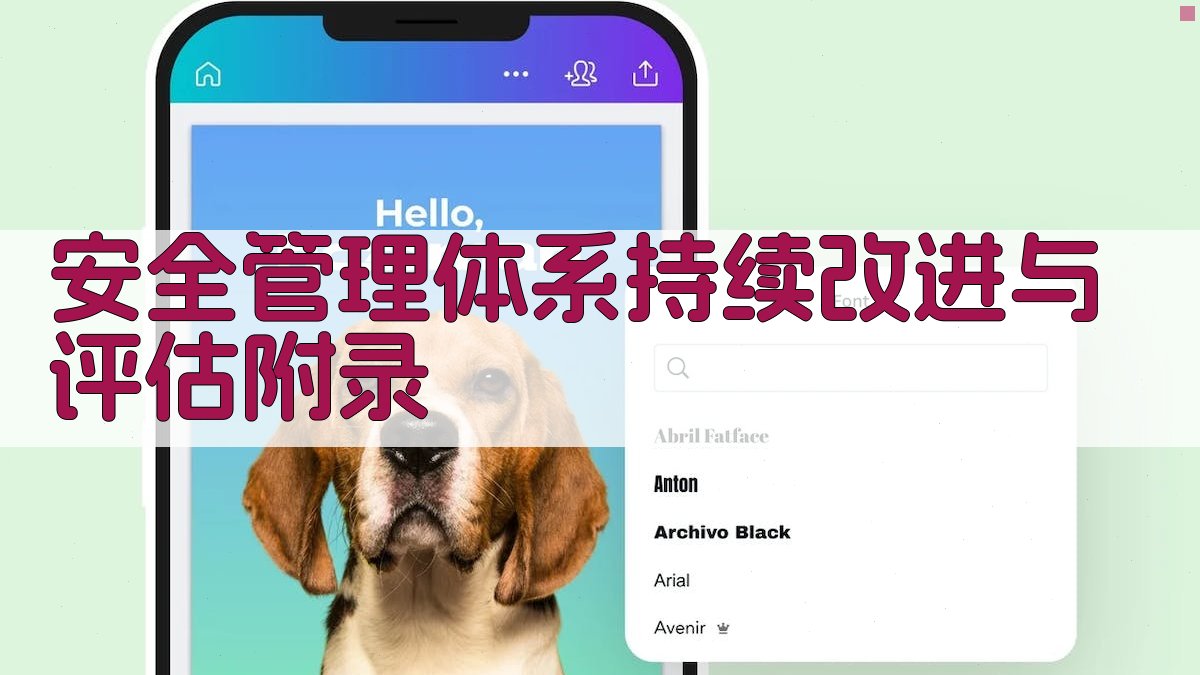 安全管理体系持续改进与评估 · 附录 图4