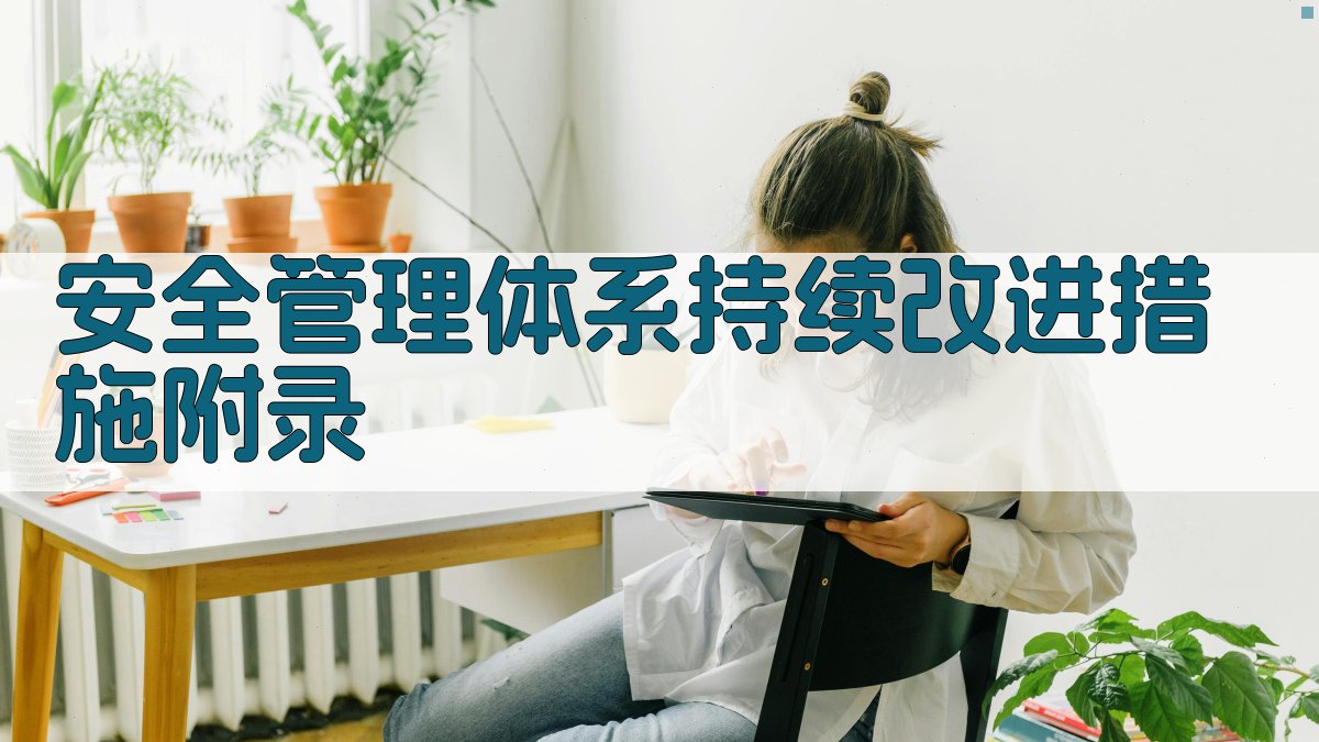安全管理体系持续改进措施 · 附录 图5
