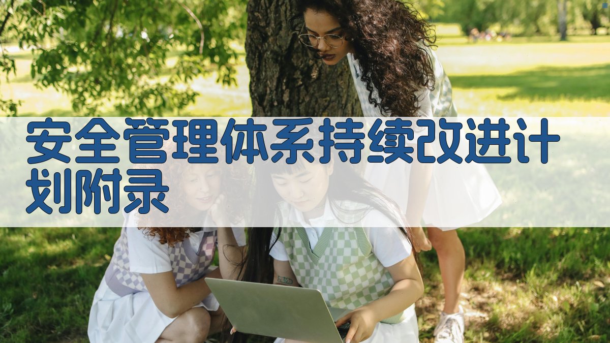 安全管理体系持续改进计划 · 附录 图5