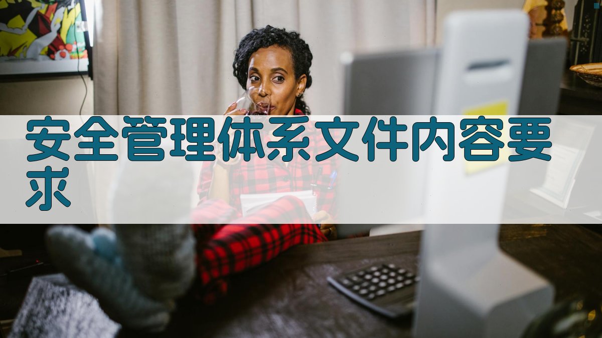 安全管理体系文件内容要求 图2