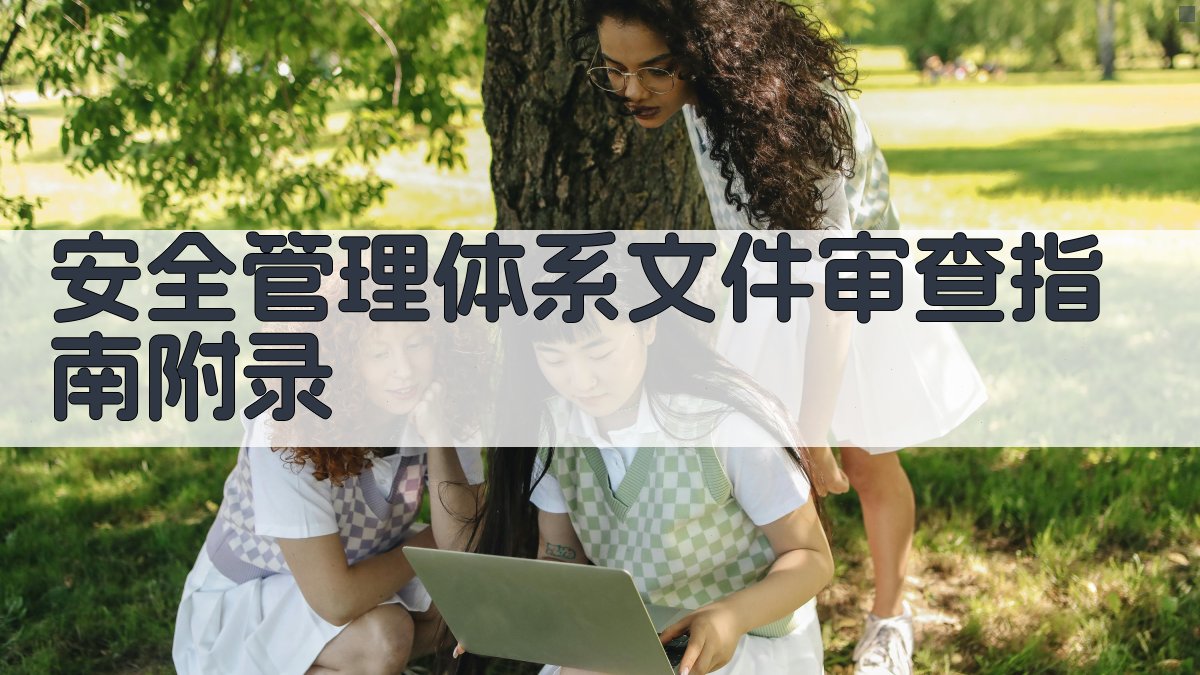 安全管理体系文件审查指南 · 附录 图5